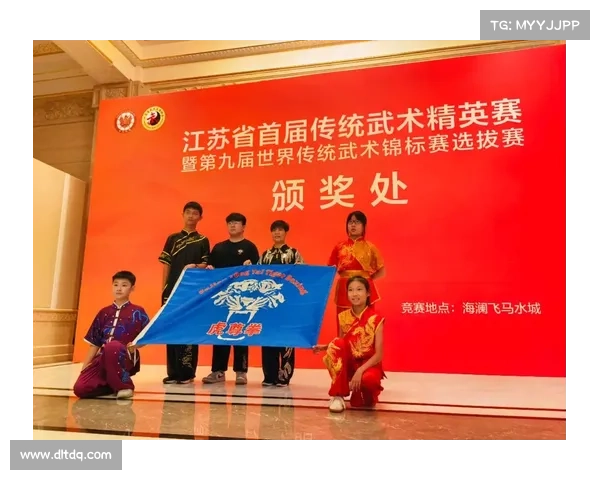 2017武术大赛巅峰对决全球精英汇聚展现中华武术精髓魅力