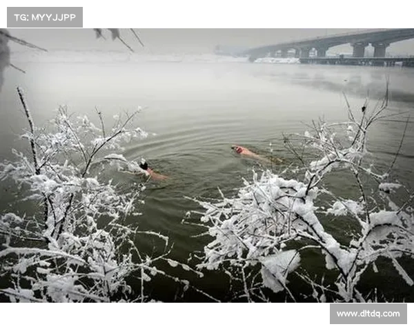 冬泳的意义(深入探讨冬泳赛事对身心健康与社会和谐的深远意义)